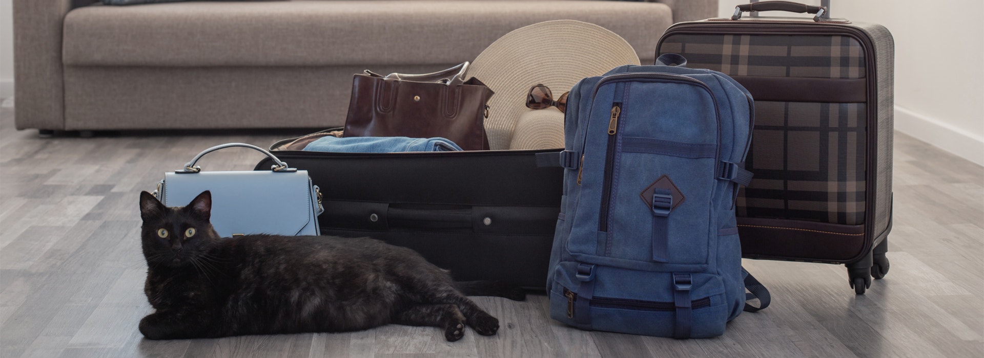 garde-chat-vacances-comment-sorganiser-pour-partir-en-vacances-sans-votre-chat.jpg