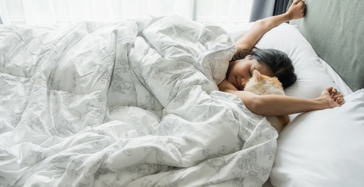 mon-chat-mempeche-de-dormir-que-faire.jpg