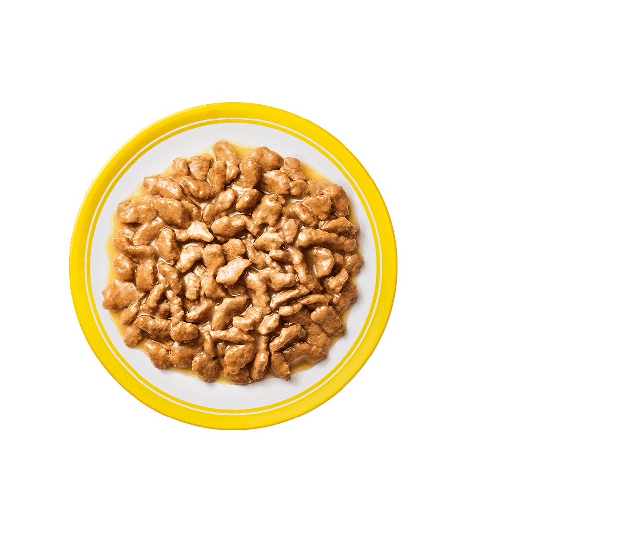 kitten nutrition