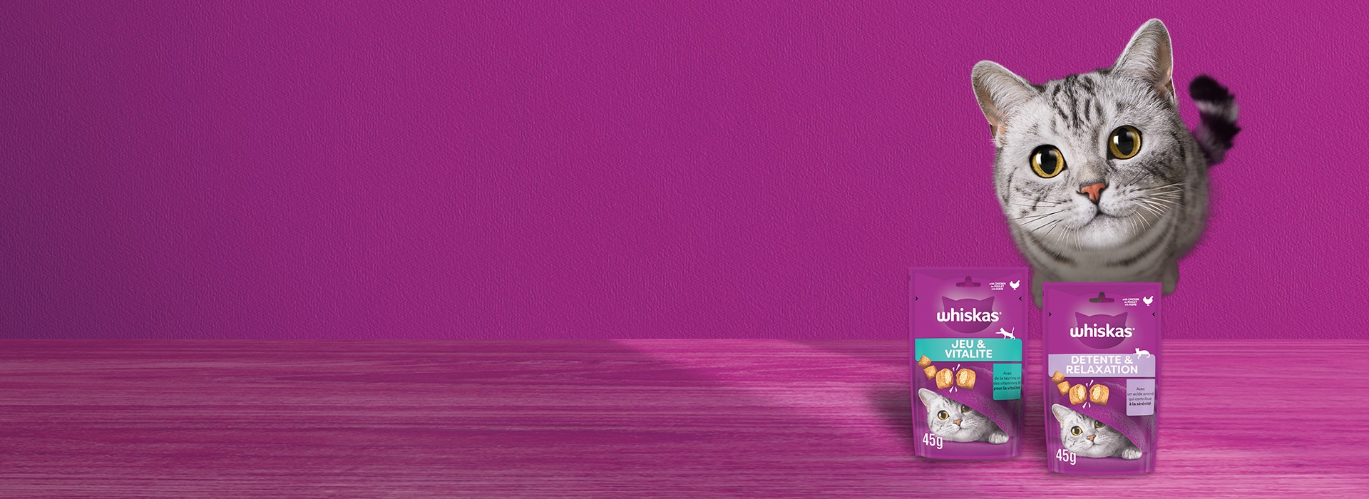 Aliments complémentaires
