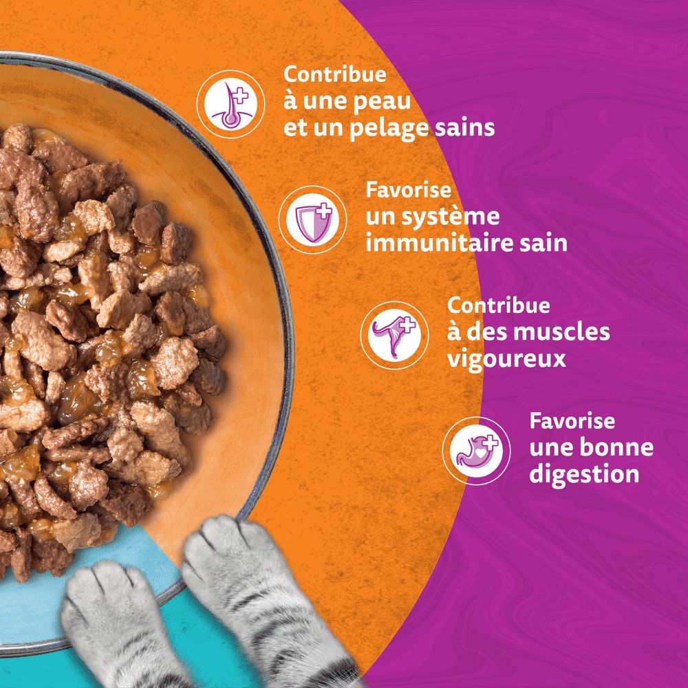 WHISKAS® Duo Sachets Fraîcheur Terre & Mer En Gelée Pour Chat Adulte 4 Variétés 12 x 85g - 4