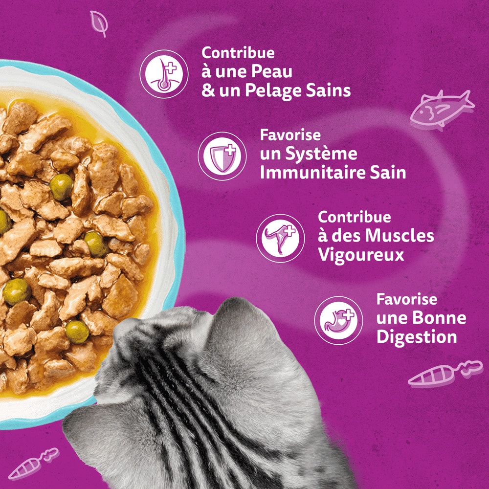 WHISKAS® Sachet Fraîcheur Les Aromatic Selection Délices de produits de la Mer Pour Chat Adulte 4 variétés 12 x 85g - 4