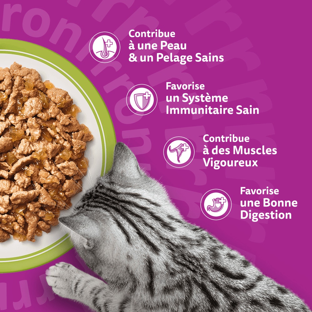 WHISKAS® Sachets Fraîcheur La Carte Mixte En Gelée Pour Chat Adulte 4 Variétés 12 & 48 x 85g - 4
