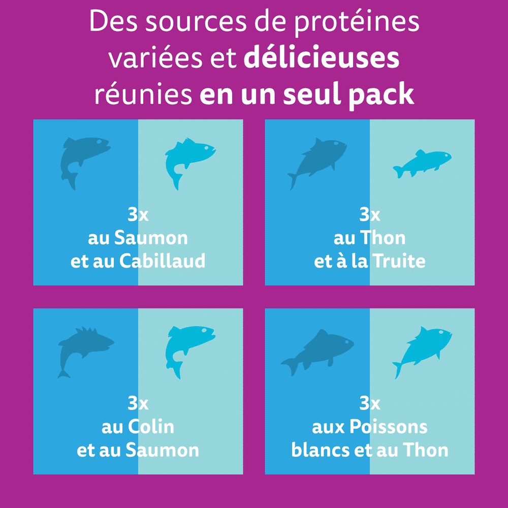 WHISKAS® Duo Sachets Fraîcheur Délices de l'Océan En Gelée Pour Chat Adulte 4 Variétés 12 x 85g - 2