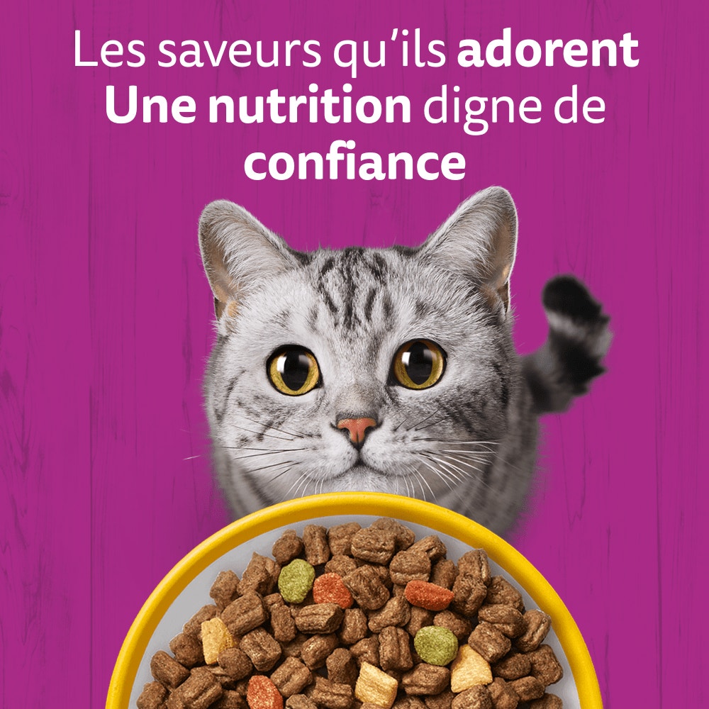 WHISKAS® Croquettes Au Poulet Pour Chat Adulte Stérilisé 1,4kg & 14kg - 2