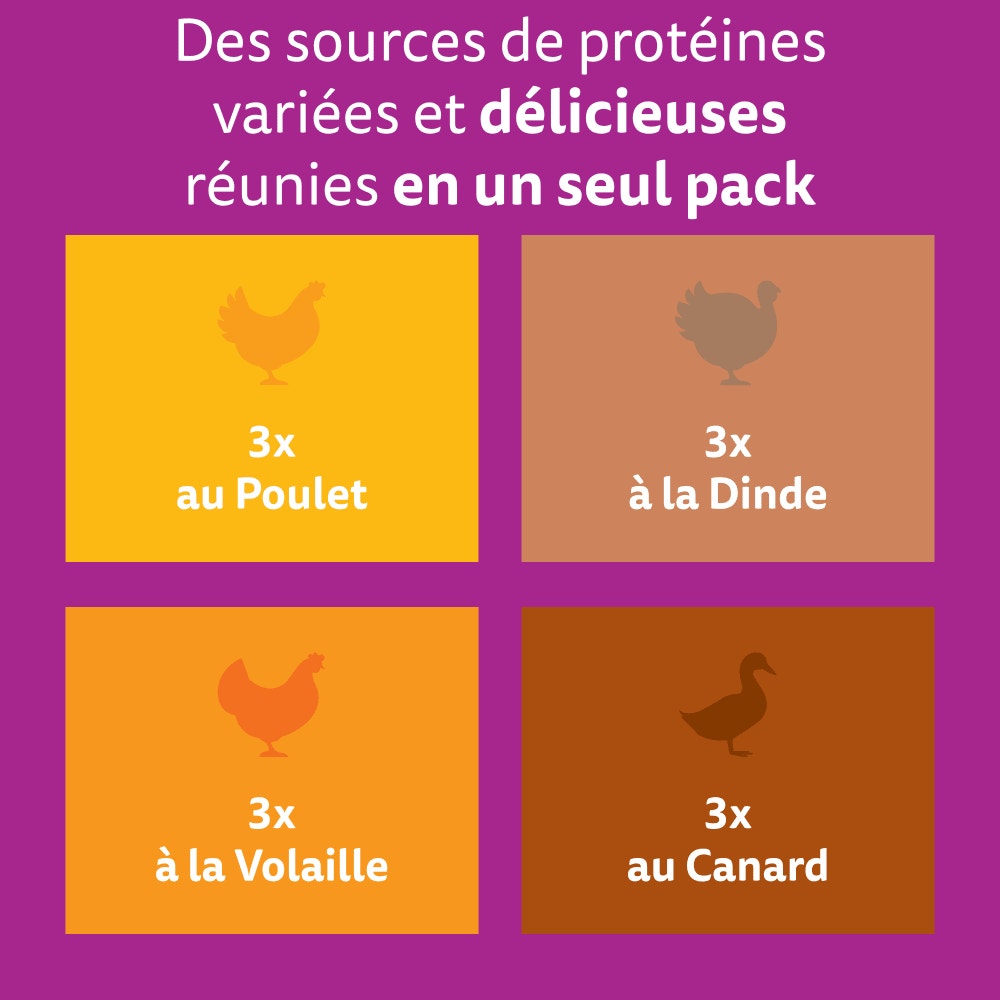WHISKAS® Sachets Fraîcheur Les Festins À La Volaille En Sauce Pour Chat Senior 4 Variétés 12 x 85g - 2