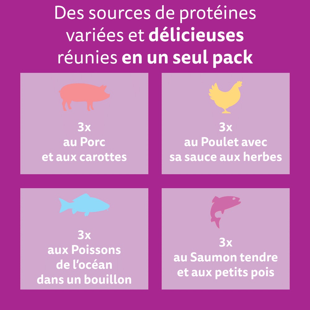 WHISKAS® Sachet Fraîcheur Les Aromatic Selection Fusion des Saveurs Pour Chat Adulte 4 variétés 12 x 85g - 2