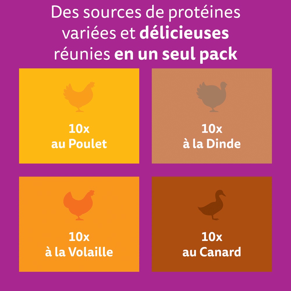 WHISKAS® Sachets Fraîcheur Les Festins À La Volaille En Gelée Pour Chaton 4 Variétés 40 x 85g - 2