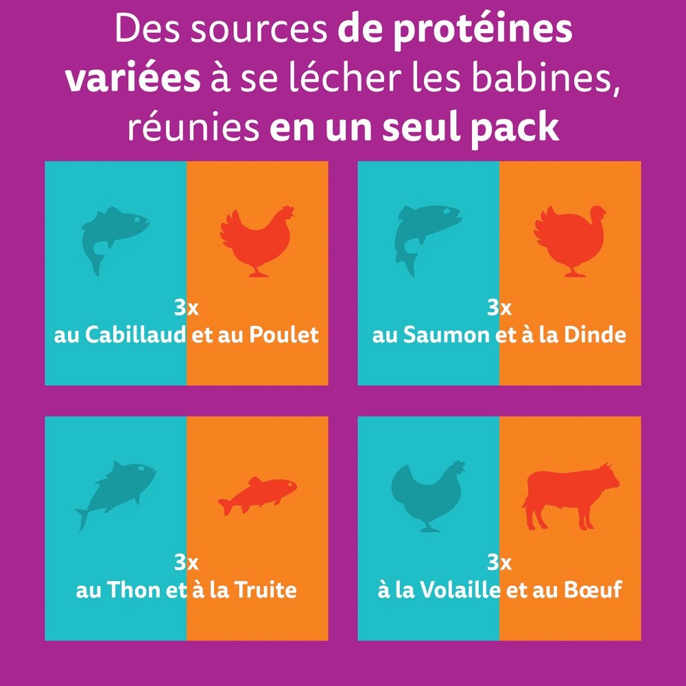 WHISKAS® Duo Sachets Fraîcheur Terre & Mer En Gelée Pour Chat Adulte 4 Variétés 12 x 85g - 2