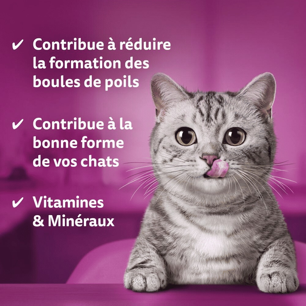 WHISKAS® Contrôle des Boules de Poils Friandises Pour Chat Adulte 50g - 3