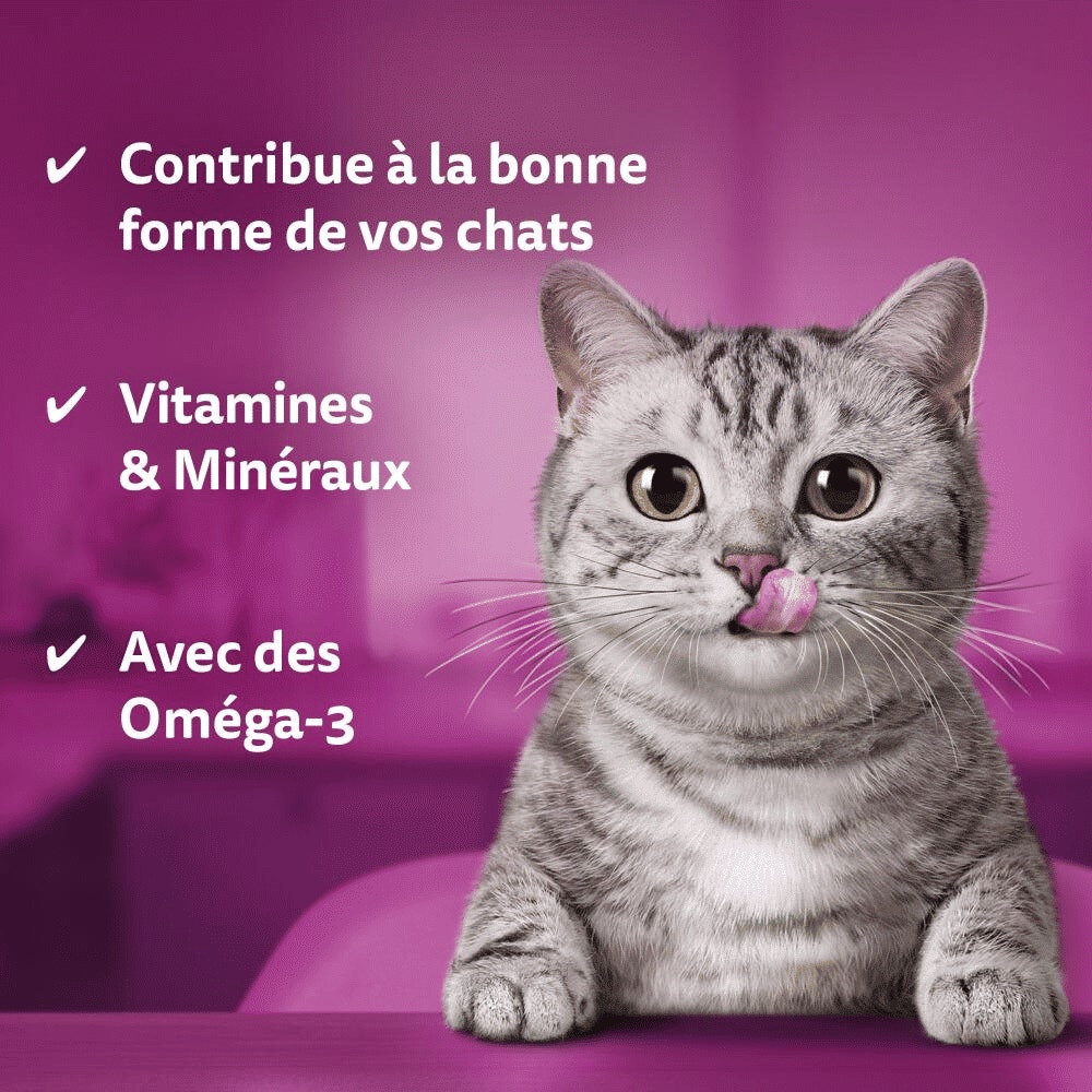 WHISKAS® Dental Treats Au Poulet Friandises Pour Chat Adulte 40g - 3