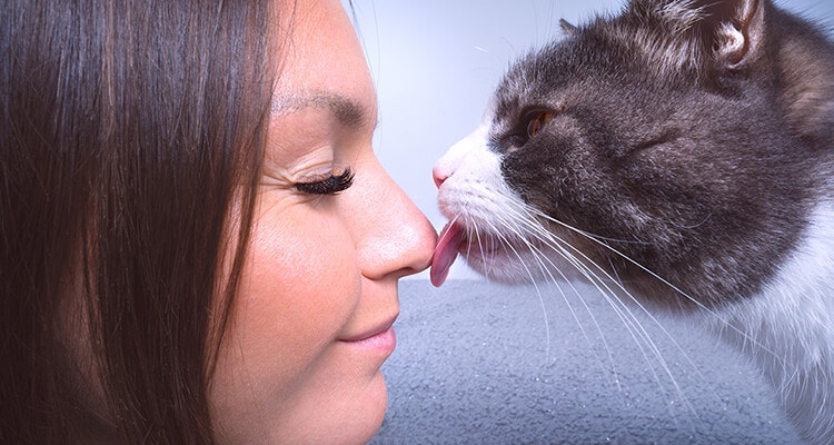 Un gros plan d'une femme les yeux fermés souriant pendant qu'un chat lui lèche le nez.