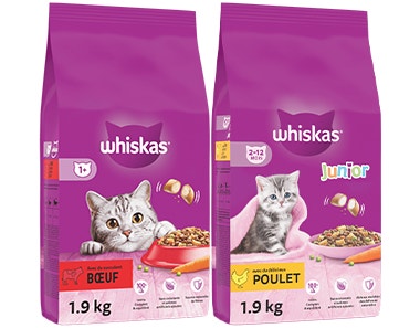 croquettes classiques