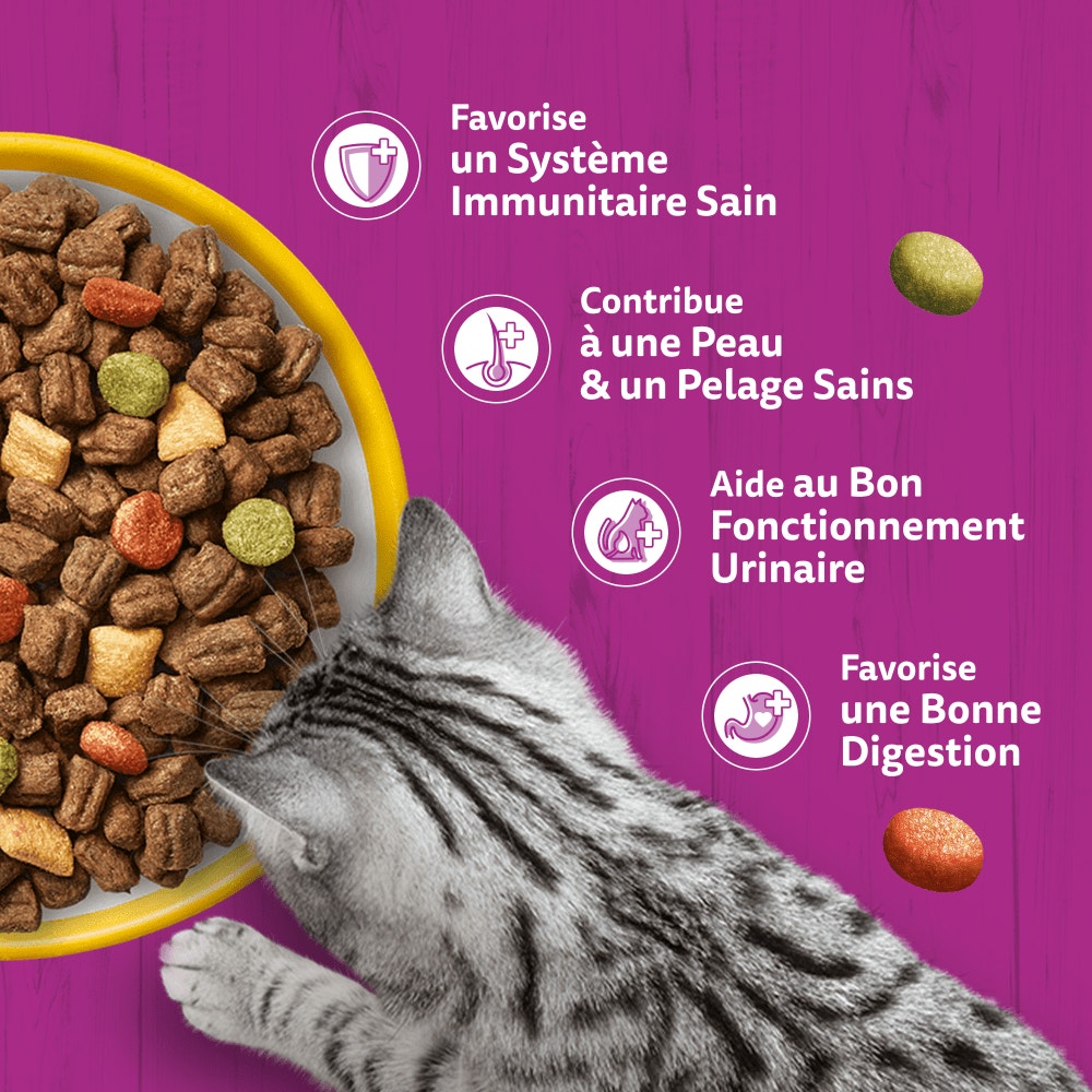 WHISKAS® Junior Croquettes Au Poulet Pour Chaton 1,4kg - 4