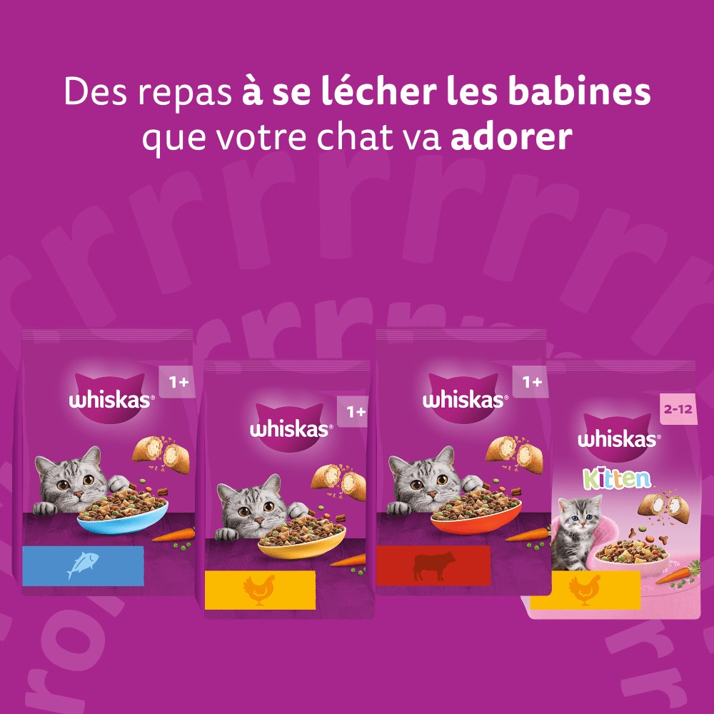 WHISKAS® Croquettes Au Boeuf Pour Chat Adulte 1,4kg & 3,8kg - 6