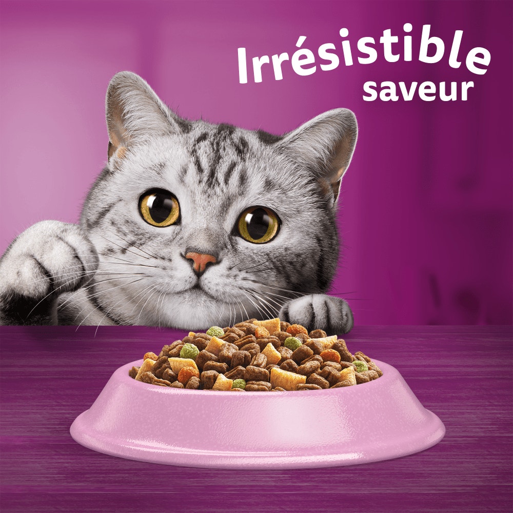WHISKAS® Croquettes Au Saumon Pour Chat Adulte Stérilisé 1,75kg - 6