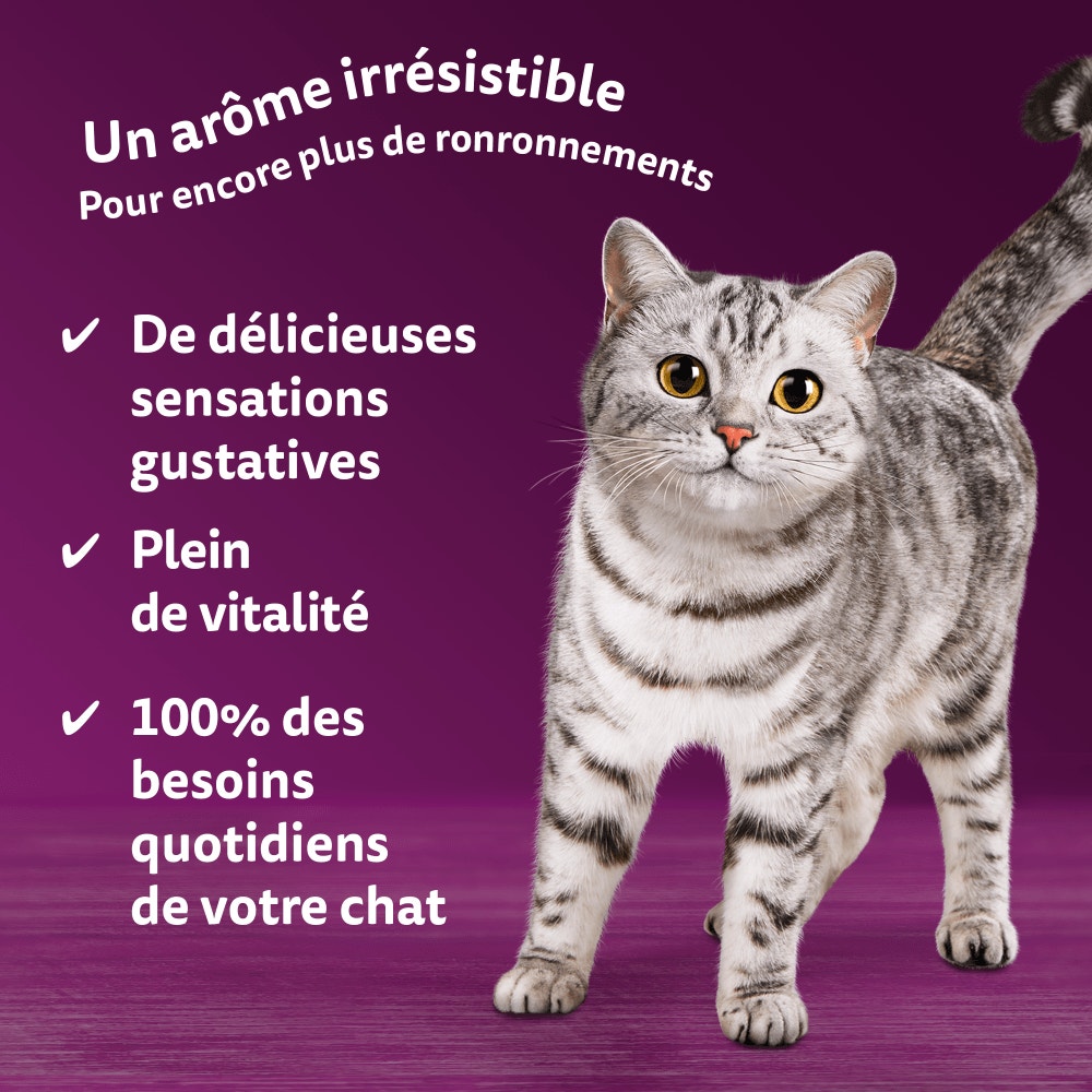 WHISKAS® Sachet Fraîcheur Les Aromatic Selection Délices de produits de la Mer Pour Chat Adulte 4 variétés 12 x 85g - 4