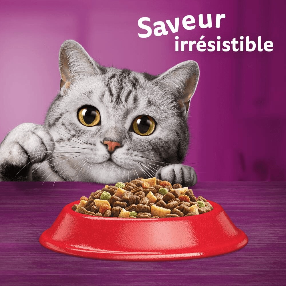 WHISKAS® Croquettes Au Boeuf Pour Chat Adulte 1,9kg & 3,8kg - 6