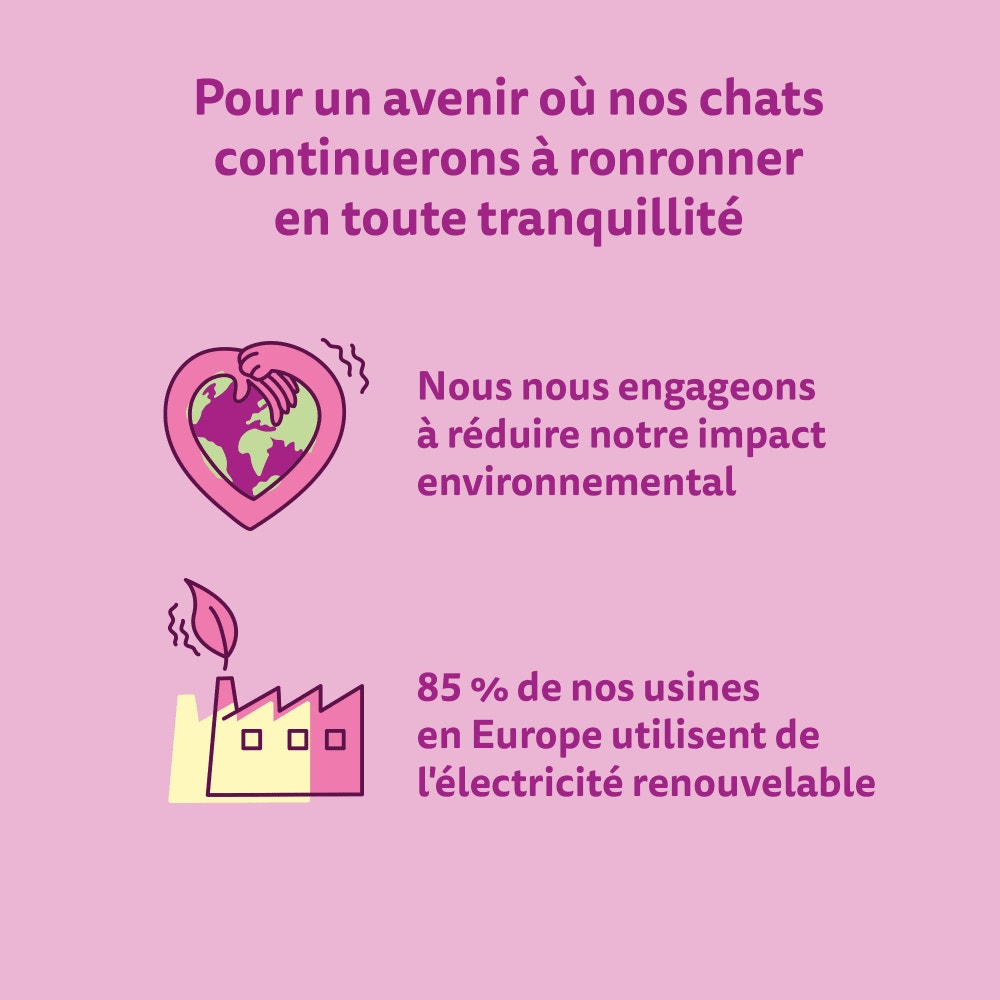 WHISKAS® Croquettes Au Saumon Pour Chat Adulte Stérilisé 1,75kg - 5