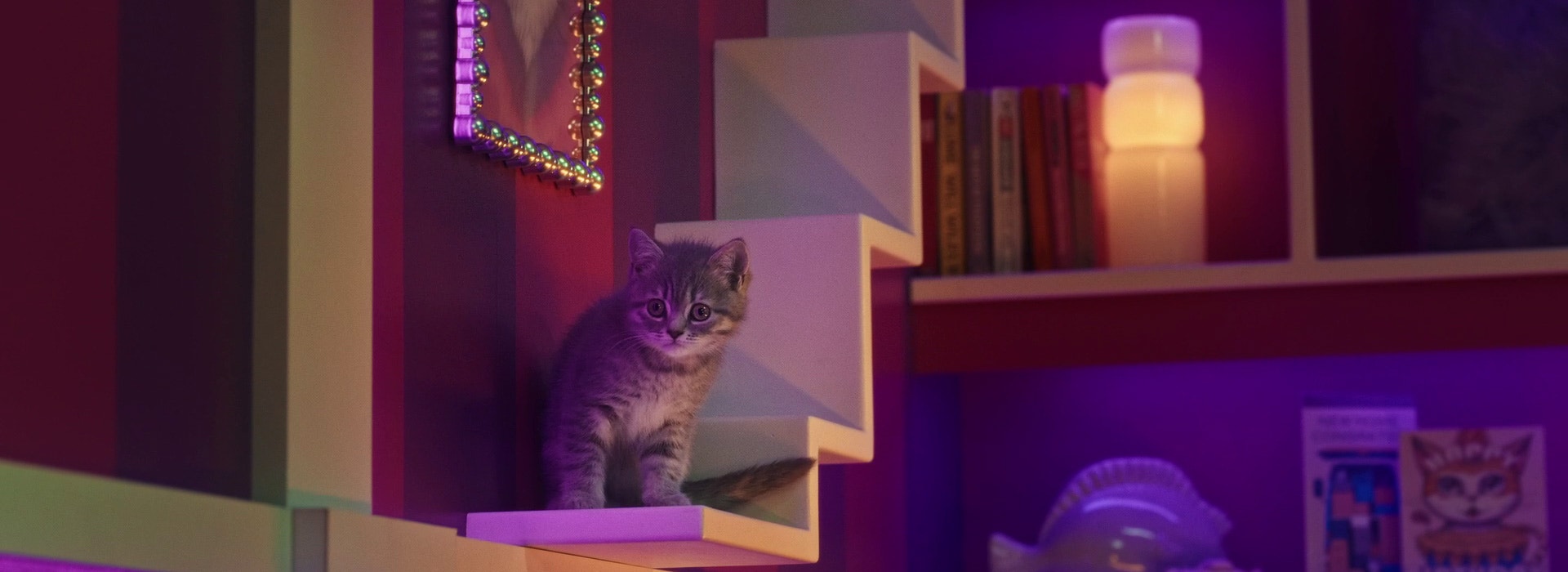 Jouer avec votre Chat - Comment partager de bons moments