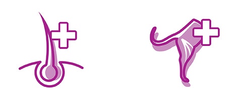 Notre promesse parrrfaite