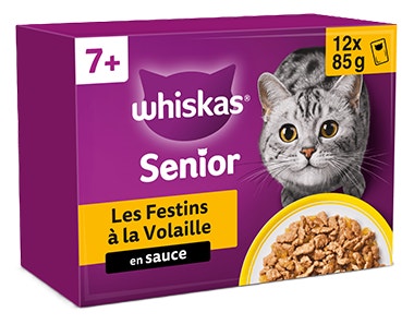 Chats 7 ans et +