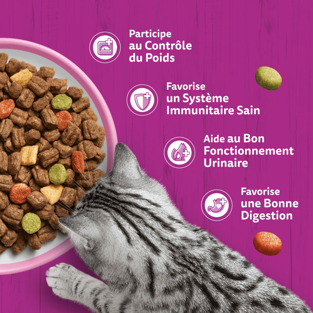 WHISKAS® Croquettes Au Saumon Pour Chat Adulte Stérilisé 1,4kg - 4