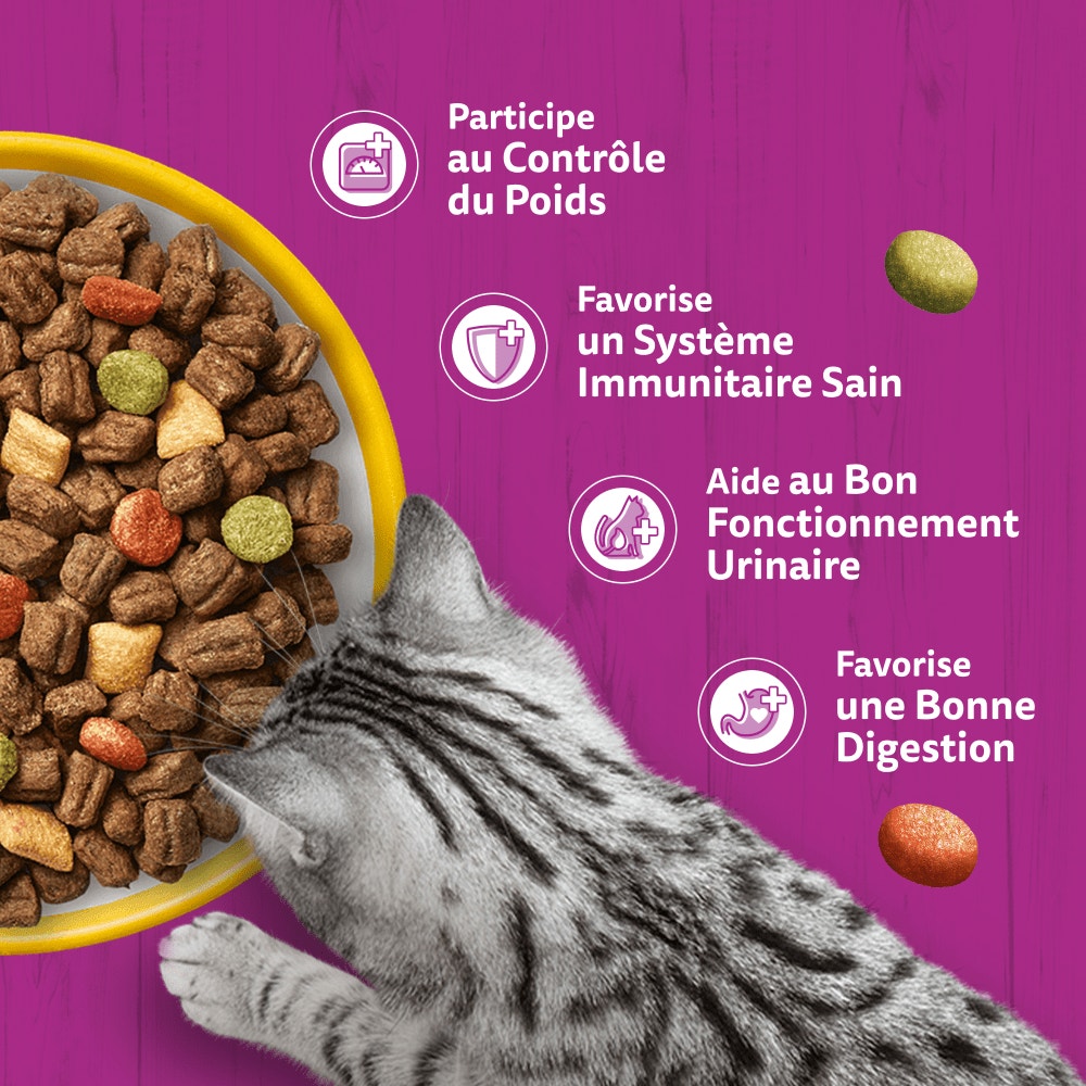 WHISKAS® Croquettes Au Poulet Pour Chat Adulte Stérilisé 1,4kg & 14kg - 4