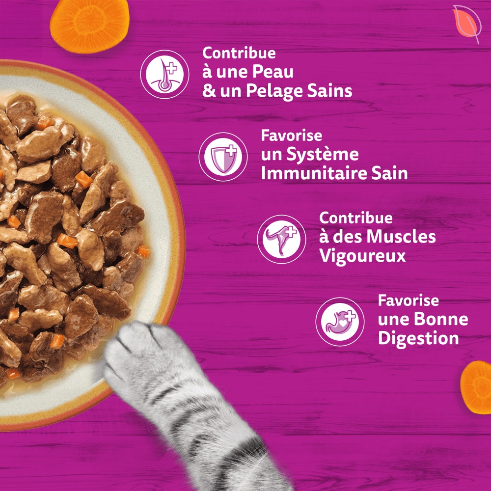 WHISKAS® Tasty Mix Sachets Fraîcheur Recettes De Campagne En Sauce Pour Chat Adulte 4 Variétés 24 x 85g - 4