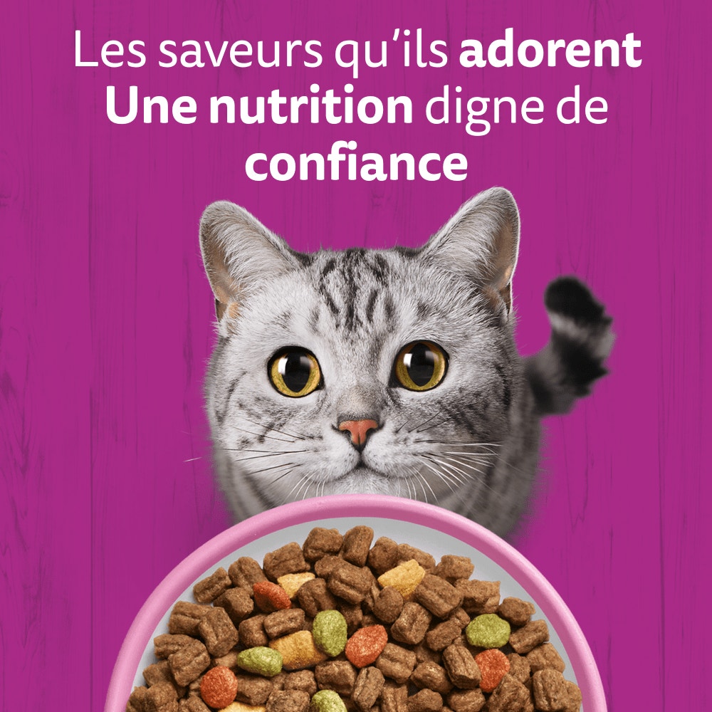 WHISKAS® Croquettes Au Saumon Pour Chat Adulte Stérilisé 1,4kg - 2