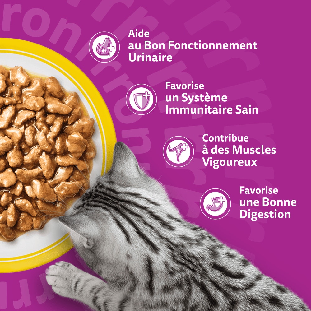 WHISKAS® Sachets Fraîcheur Les Festins À La Volaille En Sauce Pour Chat Senior 4 Variétés 12 x 85g - 4