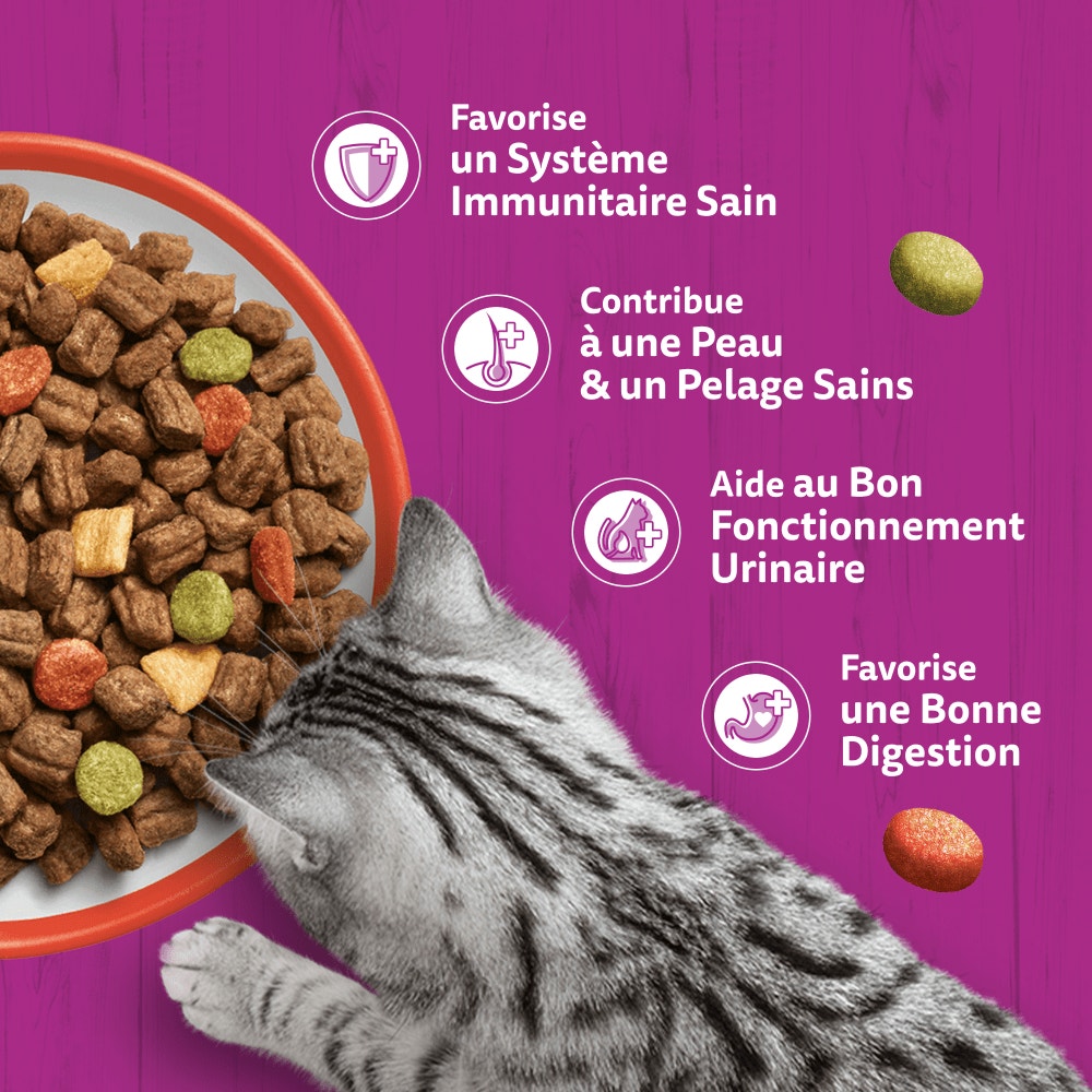 WHISKAS® Croquettes Au Boeuf Pour Chat Adulte 1,4kg & 3,8kg - 4