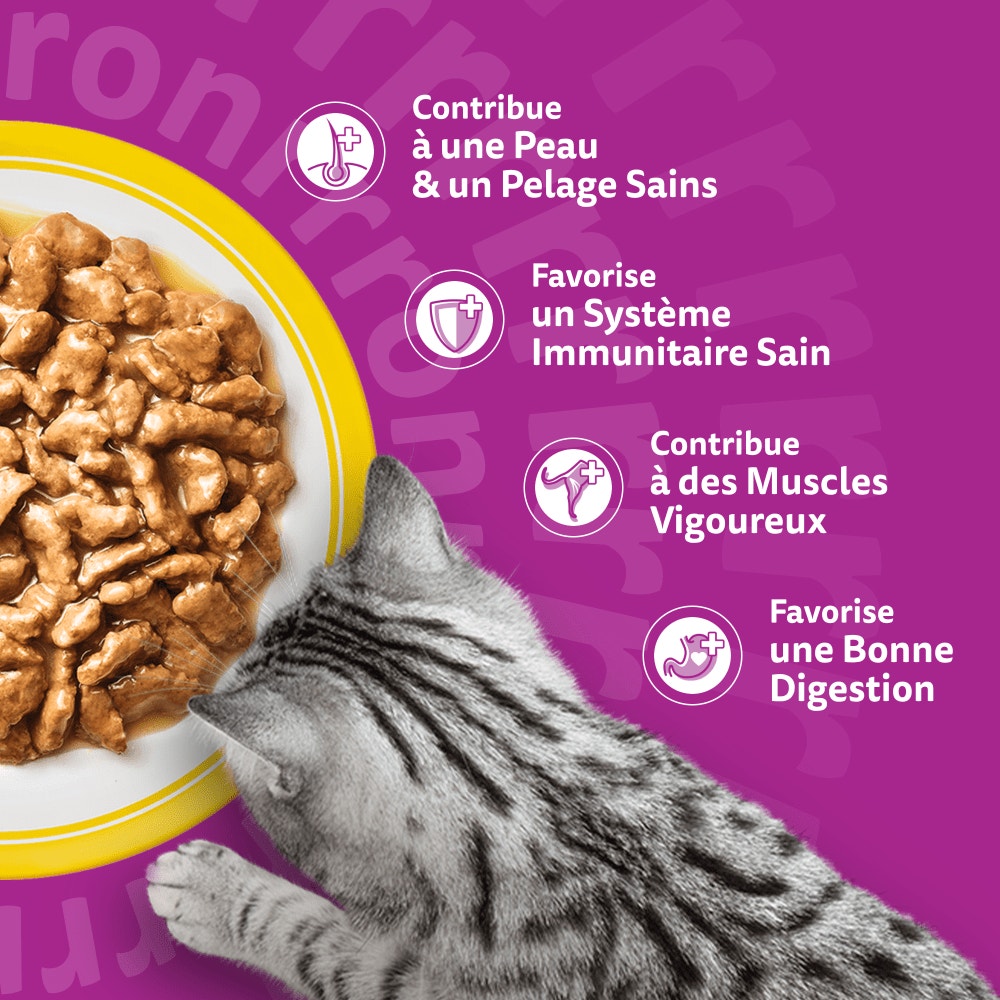 WHISKAS® Sachets Fraîcheur Les Festins À La Volaille En Sauce Pour Chat Adulte 4 Variétés 24 x 85g - 4