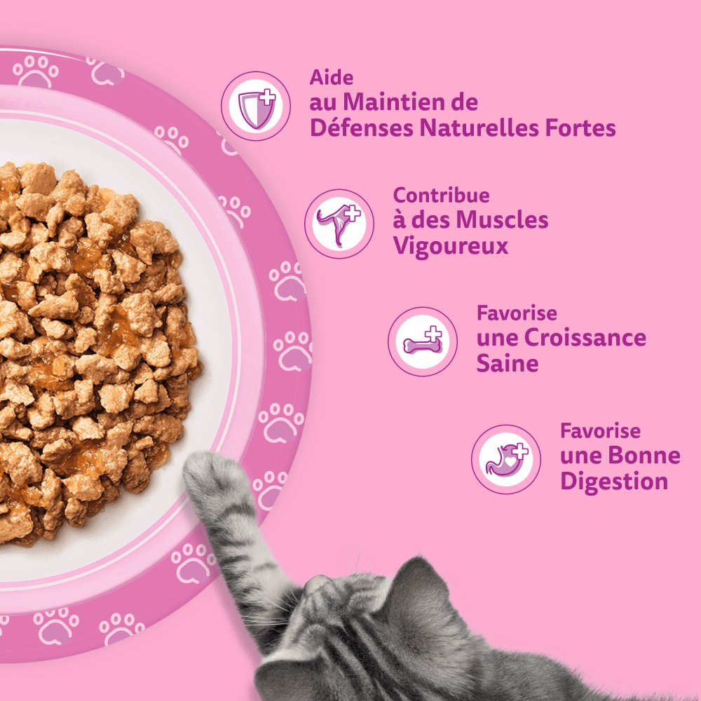 WHISKAS® Sachets Fraîcheur Les Festins À La Volaille En Gelée Pour Chaton 4 Variétés 40 x 85g - 4