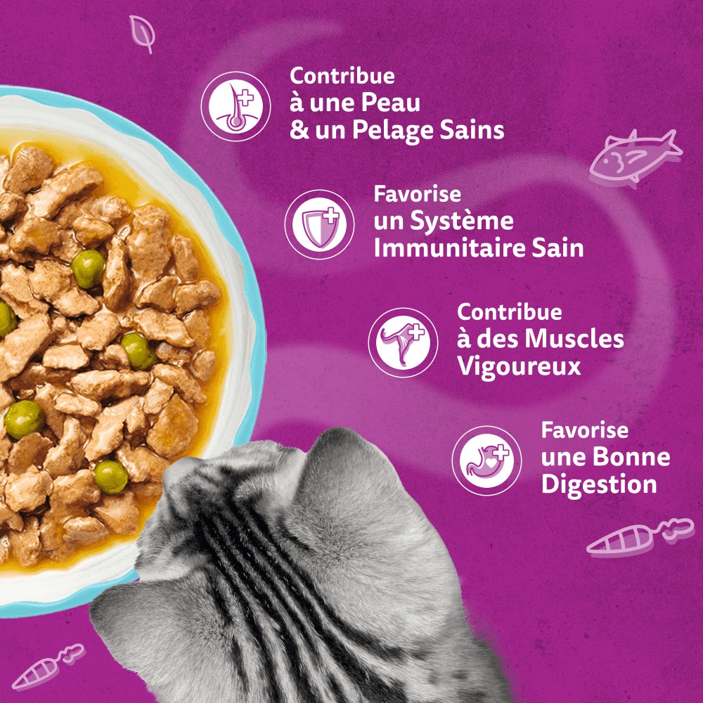 WHISKAS® Sachet Fraîcheur Les Aromatic Selection Délices de produits de la Mer Pour Chat Adulte 4 variétés 12 x 85g - 4