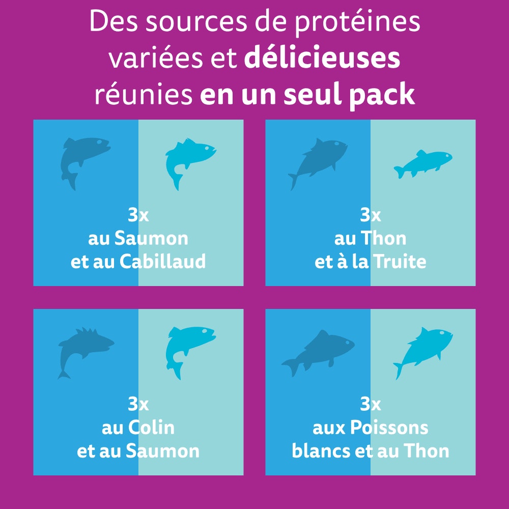 WHISKAS® Duo Sachets Fraîcheur Délices de l'Océan En Gelée Pour Chat Adulte 4 Variétés 12 x 85g - 2