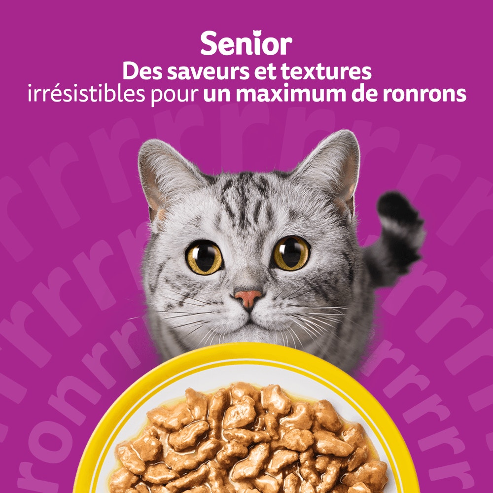 WHISKAS® Sachets Fraîcheur Les Festins À La Volaille En Sauce Pour Chat Senior 4 Variétés 12 x 85g - 6
