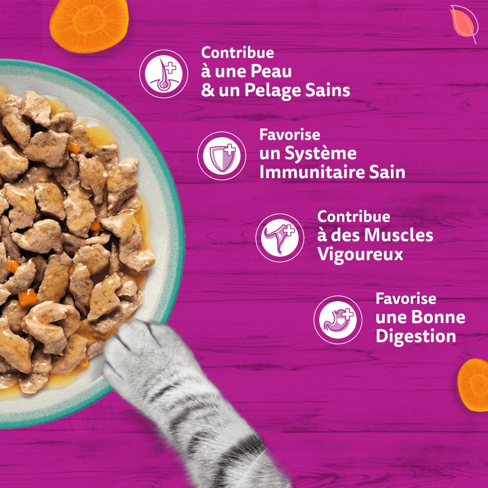 WHISKAS® Tasty Mix Sachets Fraîcheur Poisson Du Jour En Sauce Pour Chat Adulte 4 Variétés 12 x 85g - 4