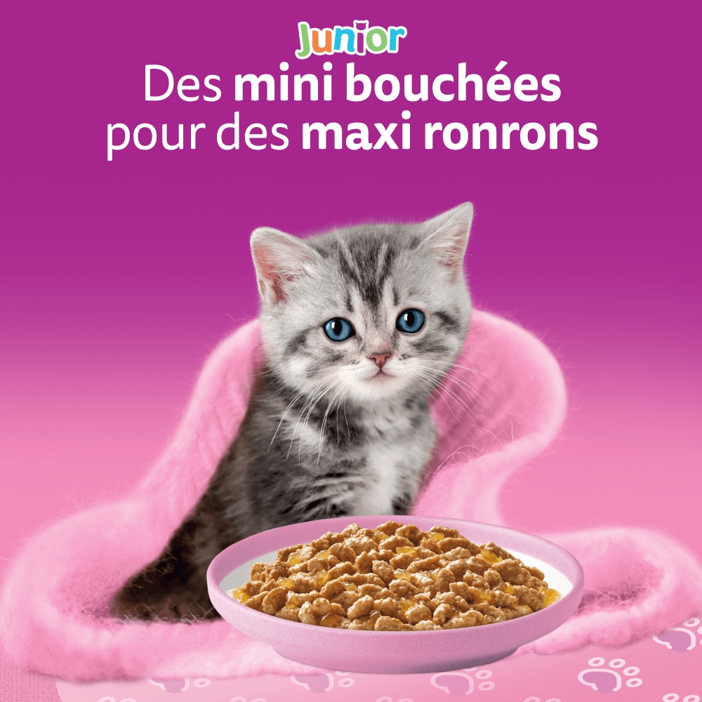 WHISKAS® Sachets Fraîcheur Les Festins À La Volaille En Gelée Pour Chaton 4 Variétés 40 x 85g - 6