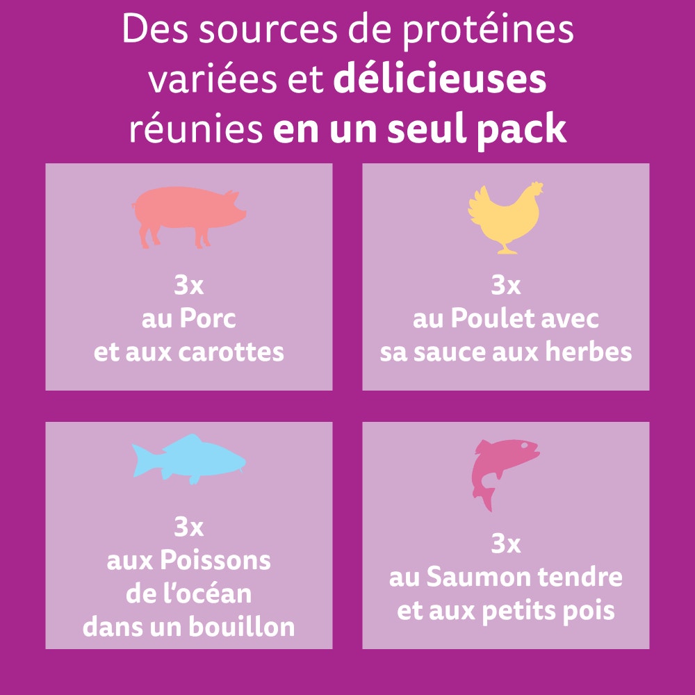 WHISKAS® Sachet Fraîcheur Les Aromatic Selection Fusion des Saveurs Pour Chat Adulte 4 variétés 12 x 85g - 2