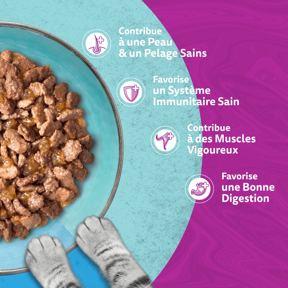 WHISKAS® Duo Sachets Fraîcheur Délices de l'Océan En Gelée Pour Chat Adulte 4 Variétés 12 x 85g - 4