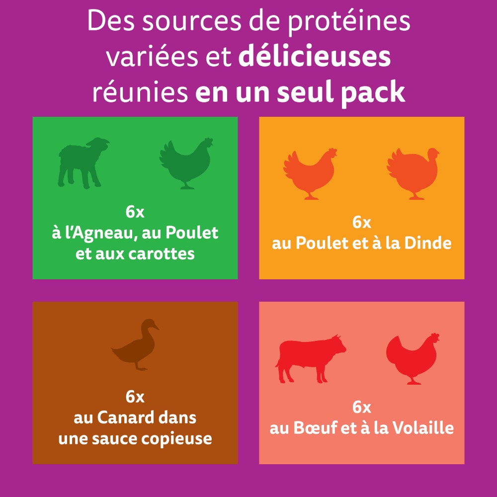 WHISKAS® Tasty Mix Sachets Fraîcheur Recettes De Campagne En Sauce Pour Chat Adulte 4 Variétés 24 x 85g - 2