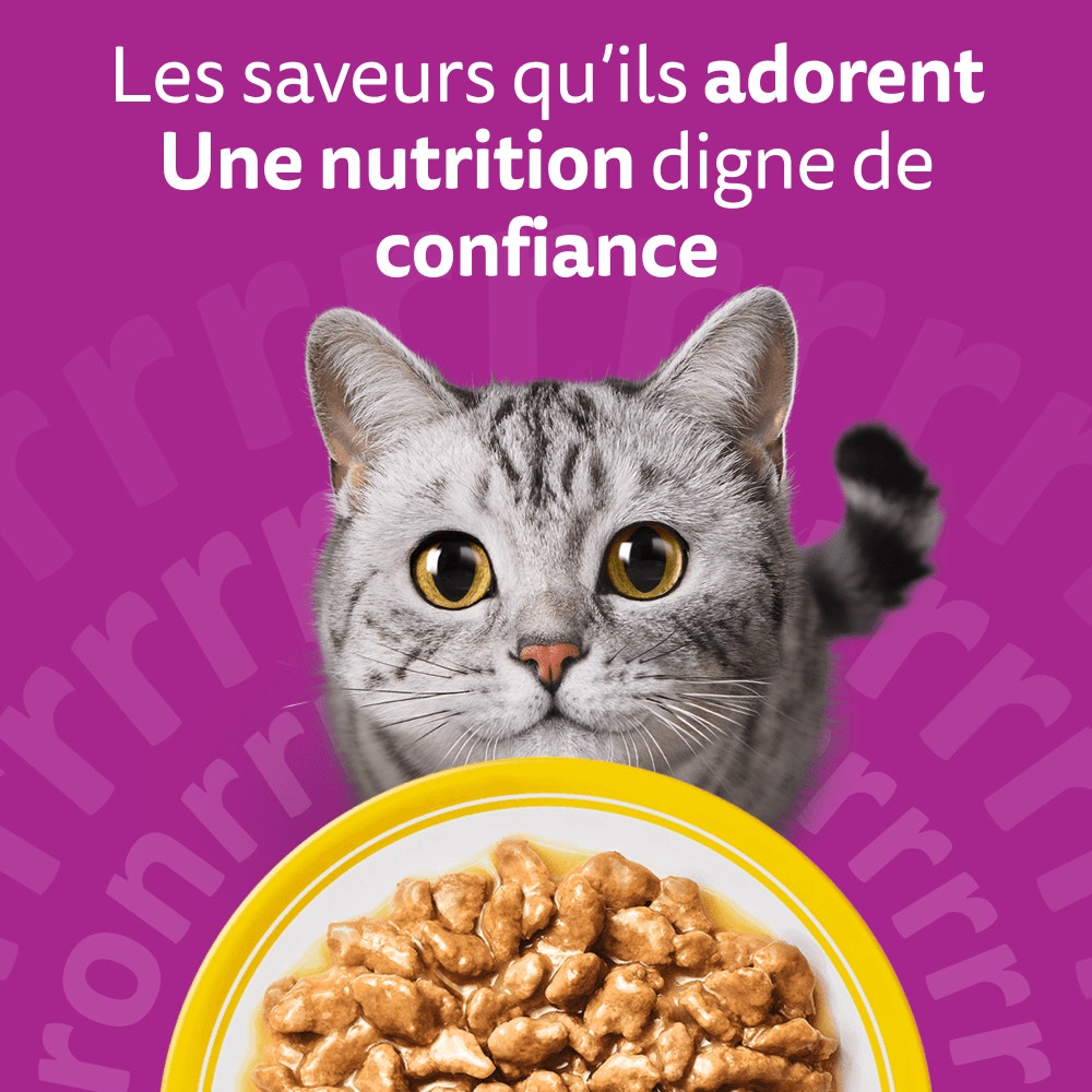 WHISKAS® Sachets Fraîcheur Les Festins À La Volaille En Sauce Pour Chat Adulte 4 Variétés 24 x 85g - 6