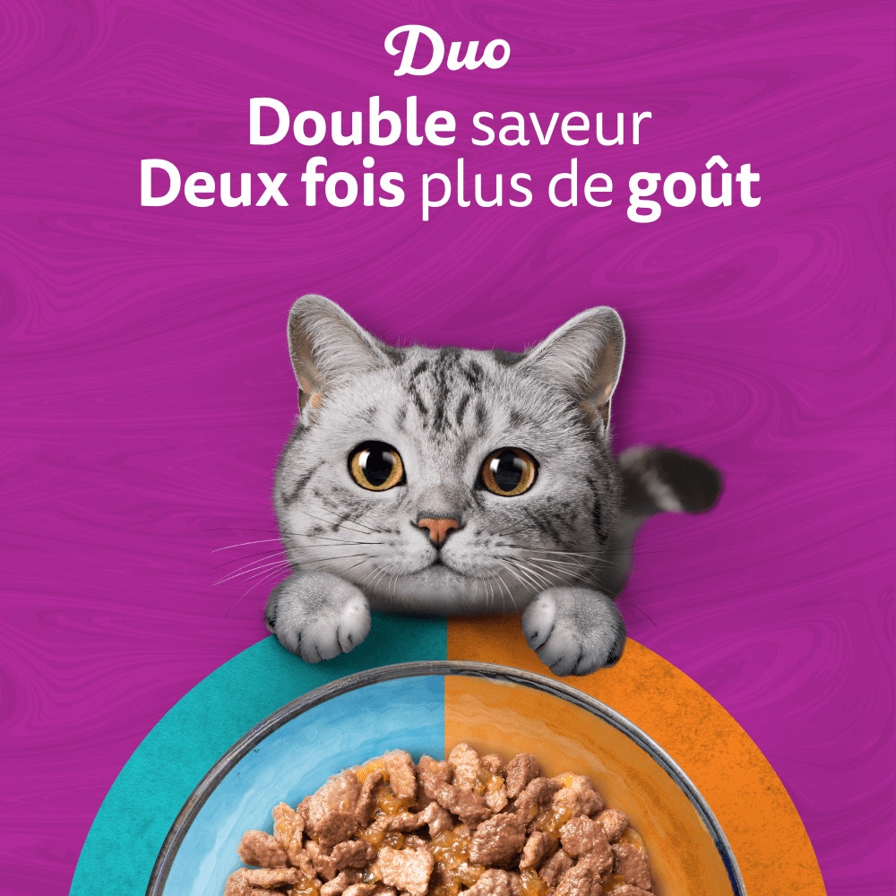 WHISKAS® Duo Sachets Fraîcheur Terre & Mer En Gelée Pour Chat Adulte 4 Variétés 12 x 85g - 6