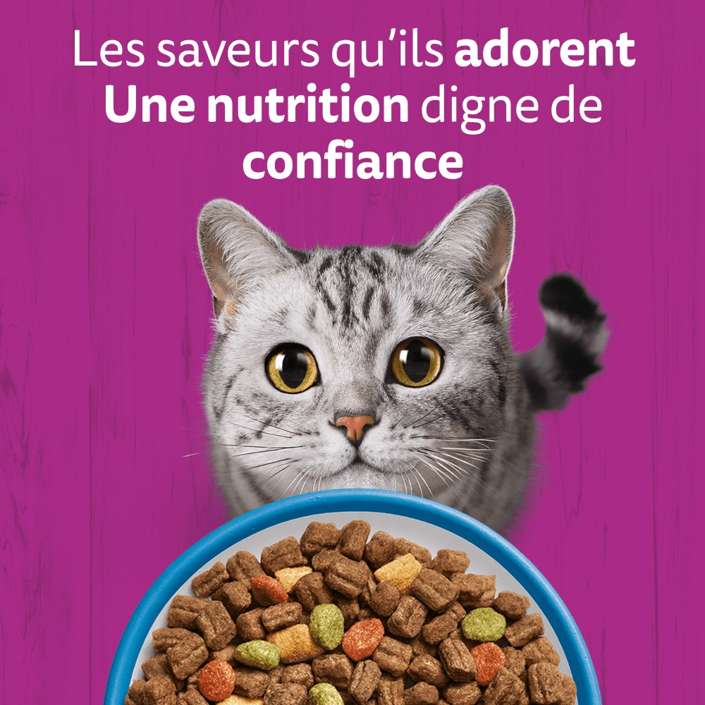 WHISKAS® Croquettes Au Thon Pour Chat Adulte 3,8kg - 2