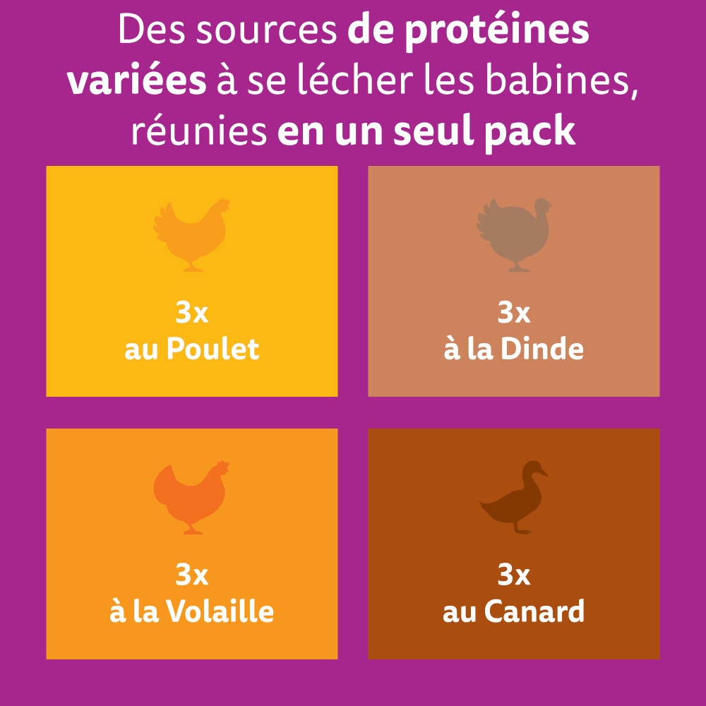 WHISKAS® Sachets Fraîcheur Les Festins À La Volaille En Gelée Pour Chat Adulte 4 Variétés 12 x 85g - 2