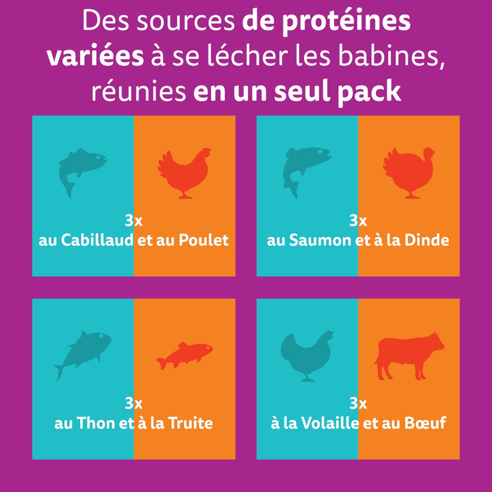 WHISKAS® Duo Sachets Fraîcheur Terre & Mer En Gelée Pour Chat Adulte 4 Variétés 12 x 85g - 2