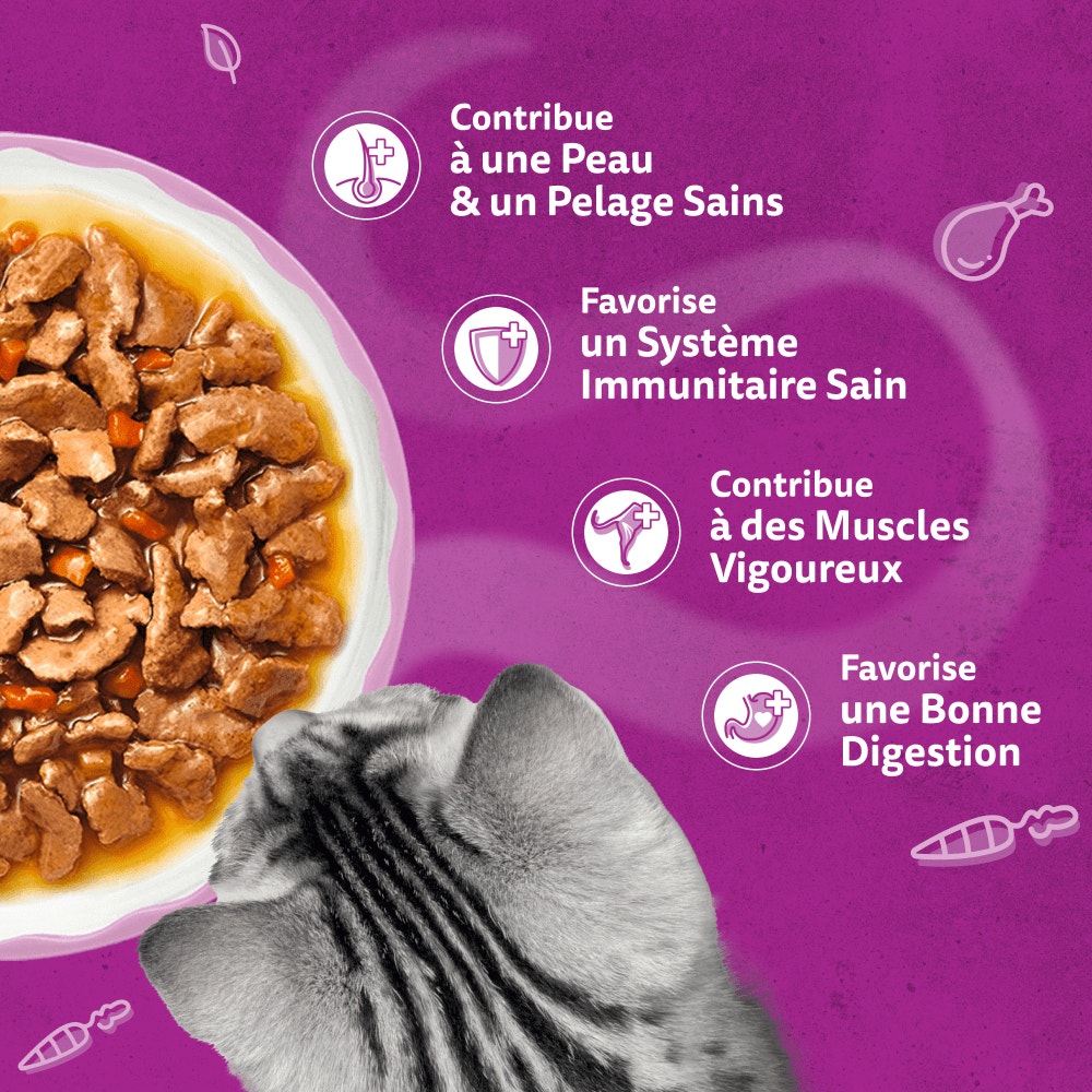 WHISKAS® Sachet Fraîcheur Les Aromatic Selection Fusion des Saveurs Pour Chat Adulte 4 variétés 12 x 85g - 4