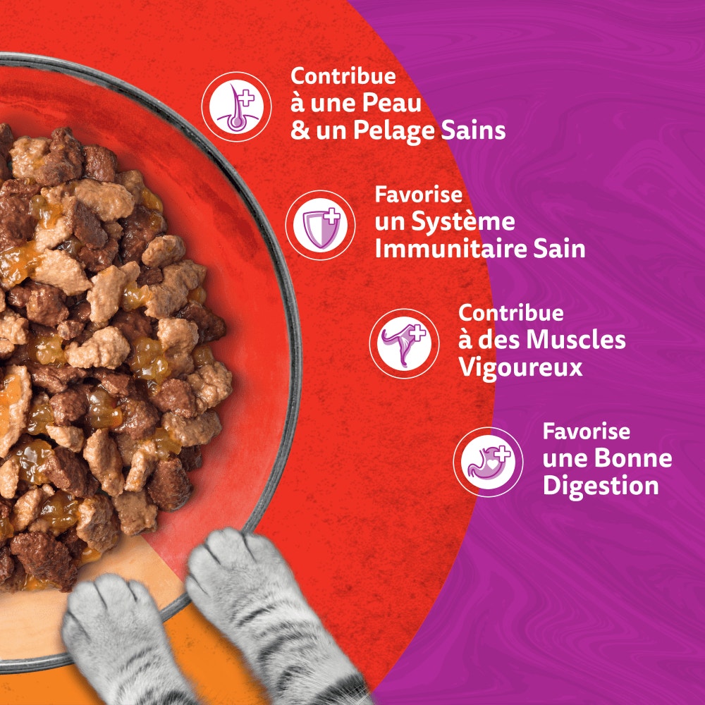 WHISKAS® Duo Sachets Fraîcheur Les Classiques En Gelée Pour Chat Adulte 4 Variétés 12 x 85g - 4