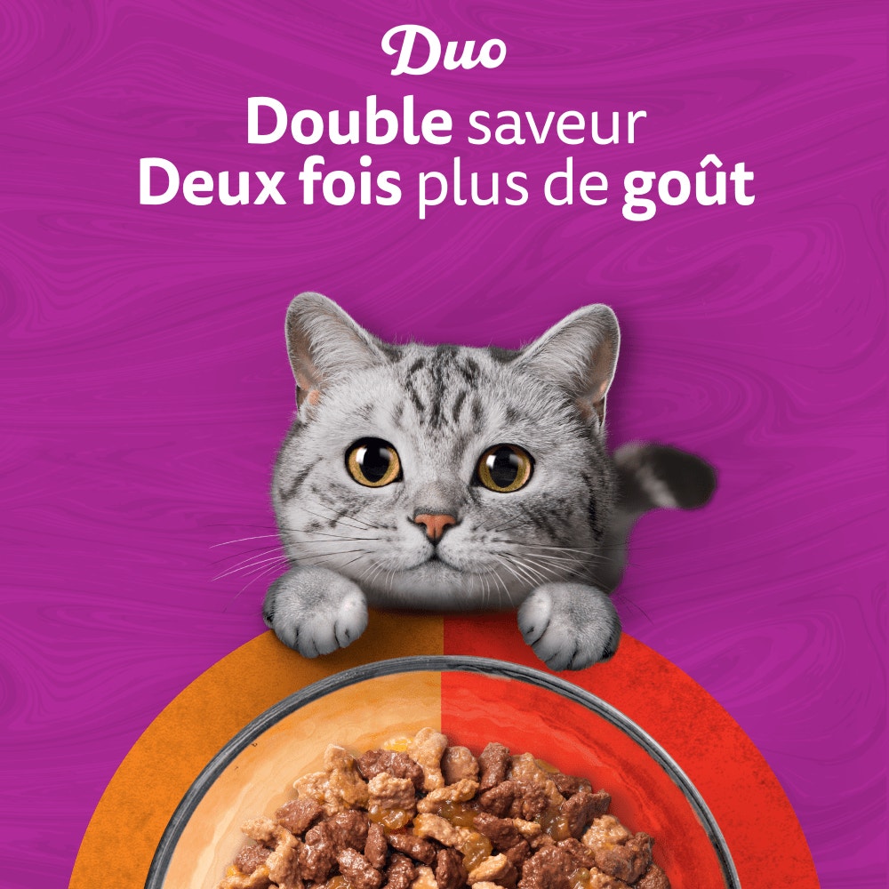 WHISKAS® Duo Sachets Fraîcheur Les Classiques En Gelée Pour Chat Adulte 4 Variétés 12 x 85g - 6